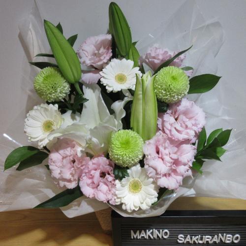 �S���ƃK�[�x���ɃO���[������ꂽ�������A�����W�����g5