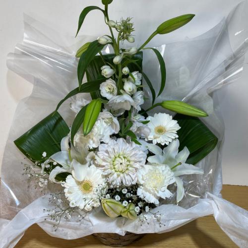 �����ƃ_���A���L���C�Ȃ������A�����W�����g