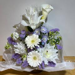 ���d�̕S���ƃJ���[�Ƀu���[���L���C�Ȃ������A�����W�����g