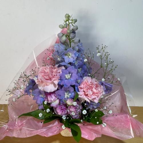 �����u���[�ɉ����s���N�̉����s�����A�����W�����g2