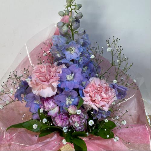 �����u���[�ɉ����s���N�̉����s�����A�����W�����g6