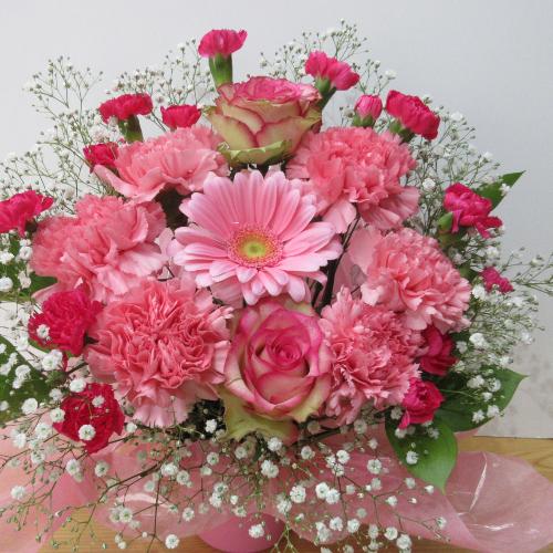 �l�C�I�s���N�s���N�̃A�����W�����g�@�A2