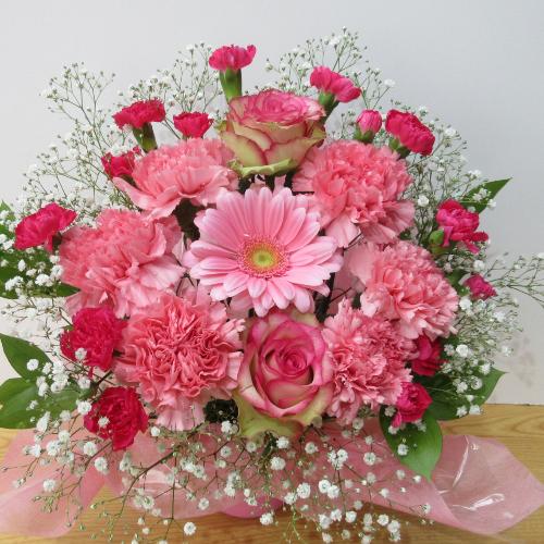 �l�C�I�s���N�s���N�̃A�����W�����g�@�A4