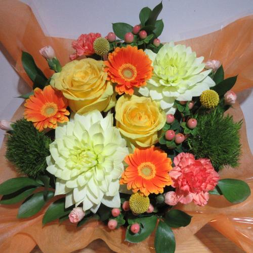 �_���A�ƃI�����W���L���C�ȃA�����W�����g5