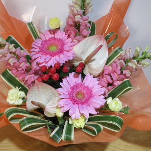 �s���N�̃K�[�x���ƃA���X�����[���̉����A�����W5