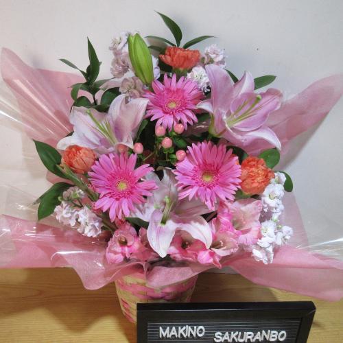 �s���N�̕S���ƃK�[�x���̉������؂ȃA�����W�����g