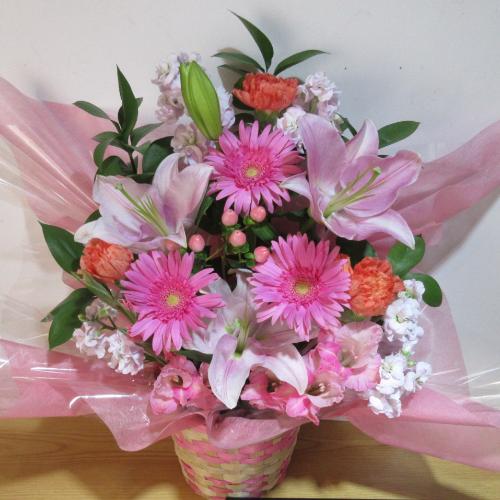 �s���N�̕S���ƃK�[�x���̉������؂ȃA�����W�����g2