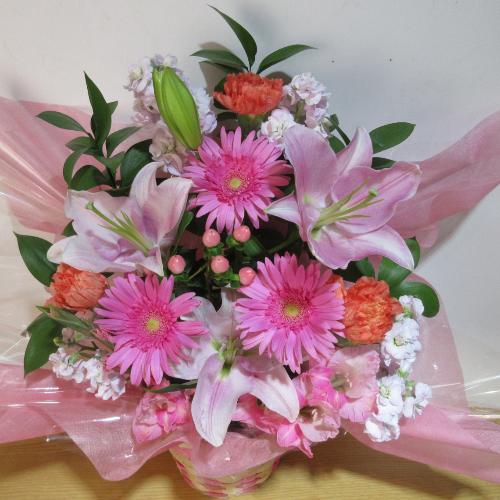 �s���N�̕S���ƃK�[�x���̉������؂ȃA�����W�����g3