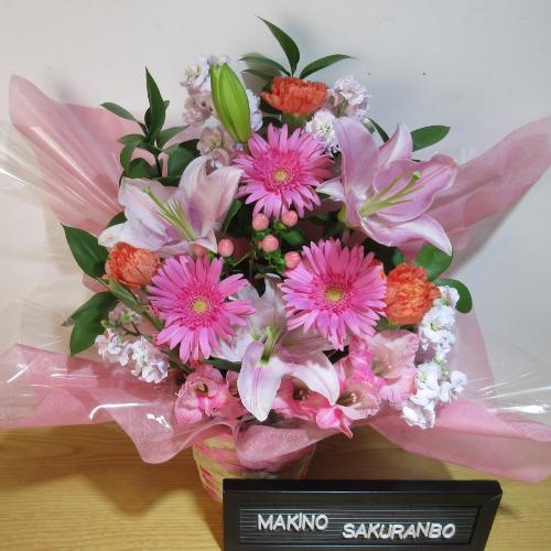 �s���N�̕S���ƃK�[�x���̉������؂ȃA�����W�����g4