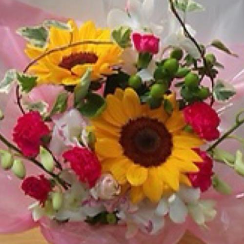�Ђ܂��ƃs���N�̉����A�����W�����g4