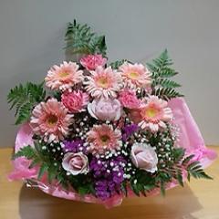 �s���N�s���N�̉����A�����W�����g�@�B