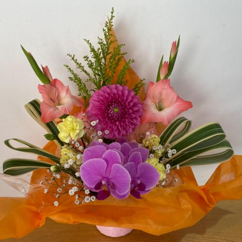 �Ӓ����ƃs���N�̉����A�����W�����g
