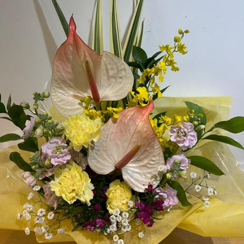 �A���X�����[���Ɖ��F�̍��؂ȃA�����W�����g2