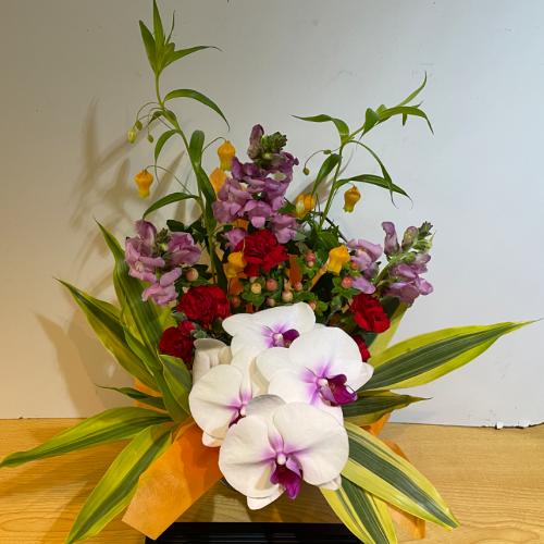 �K���̌Ӓ����I�ƃI�����W�̍��؂ȃA�����W�����g2