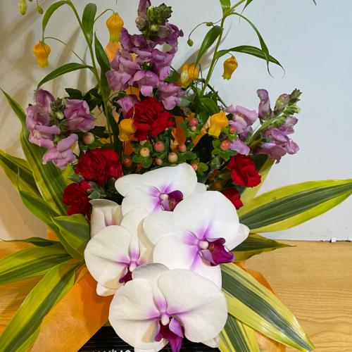 �K���̌Ӓ����I�ƃI�����W�̍��؂ȃA�����W�����g3