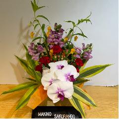 �K���̌Ӓ����I�ƃI�����W�̍��؂ȃA�����W�����g