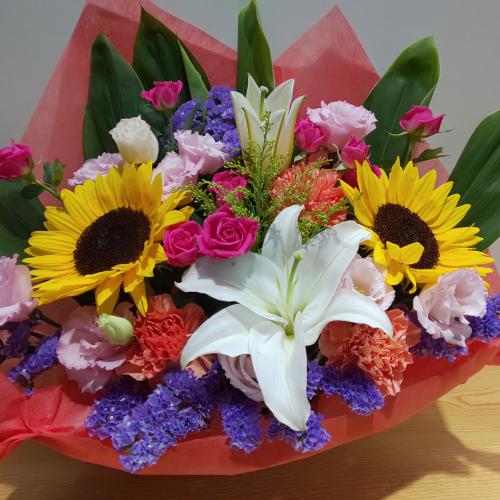 �J���t���A�����W�����g�@�Ђ܂��I�I7