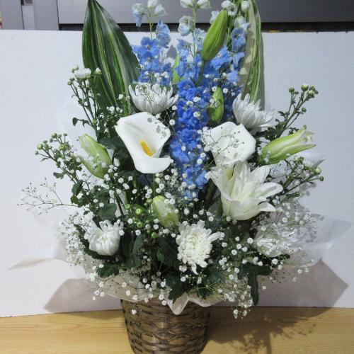 �e�����C���ɍ��؂ɁI�I�Ƃ������A�����W�����g2