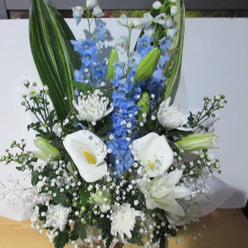 �e�����C���ɍ��؂ɁI�I�Ƃ������A�����W�����g4