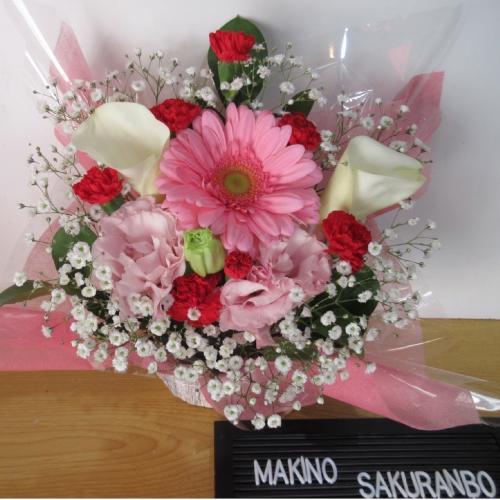 �J���[�ƃK�[�x���������I�A�����W�����g3