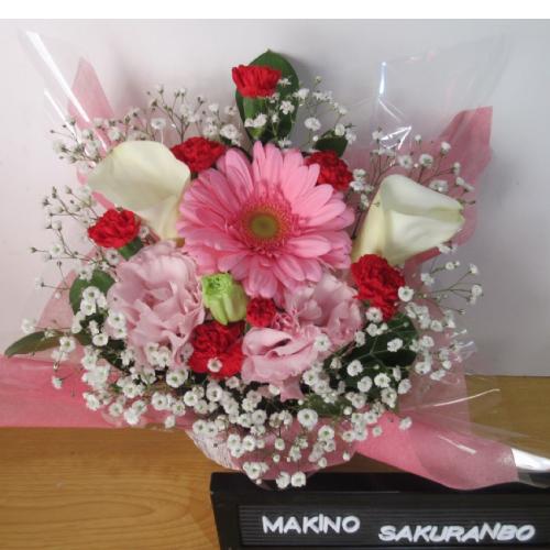 �J���[�ƃK�[�x���������I�A�����W�����g4