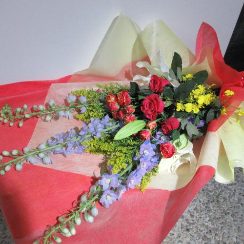 �o���ƃf���t�B�j���[���̍��؂ȉԑ��I�I