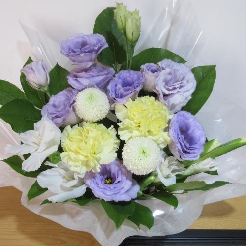 �p�[�v���ƃC�G���[�̂������A�����W�����g3