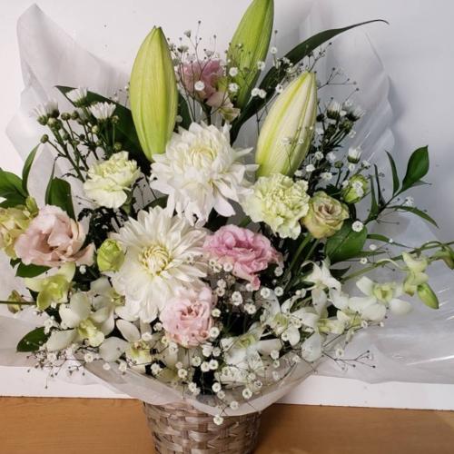 �S���ƃ_���A�����C���ɁB�s���N�Ɣ��̍��؂Ȃ������A�����W�����g2