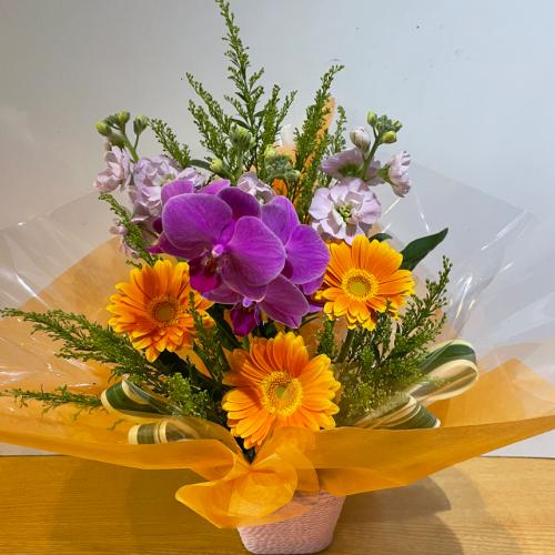 �������I�Ӓ����ƃI�����W�̃K�[�x���̃A�����W�����g2