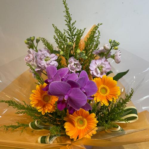 �������I�Ӓ����ƃI�����W�̃K�[�x���̃A�����W�����g4