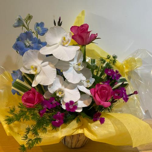 �K���̌Ӓ����ƃu���[���Y��ȃA�����W�����g4