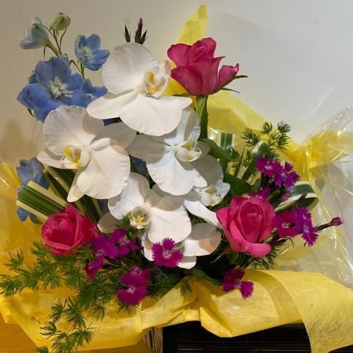 �K���̌Ӓ����ƃu���[���Y��ȃA�����W�����g5