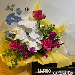 �K���̌Ӓ����ƃu���[���Y��ȃA�����W�����g