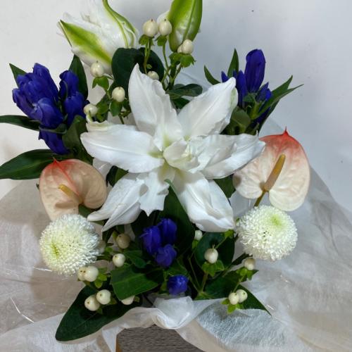 ���d�̕S���ƃA���X�����[���̂������A�����W�����g4