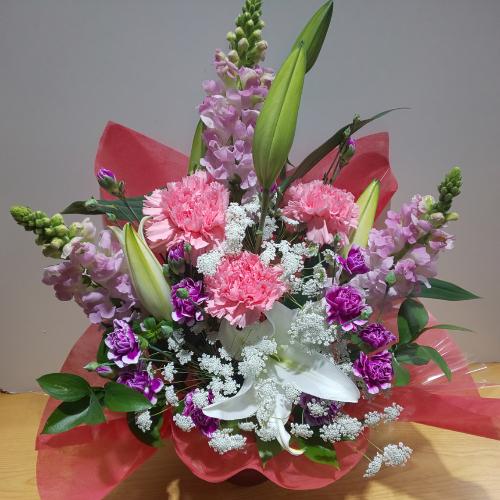 �S���ƃJ�[�l�[�V�����̍��؃A�����W�����g