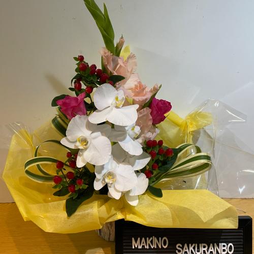 �o���ƌӒ����̃A�����W�����g