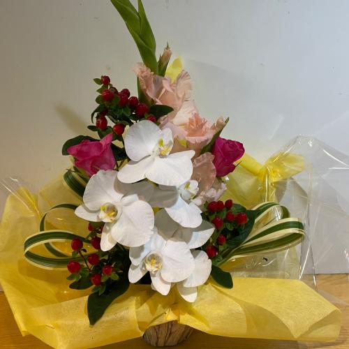 �o���ƌӒ����̃A�����W�����g5