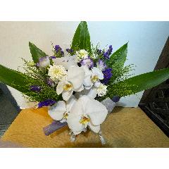 �Ӓ����ƃp�[�v���n�̌䋟�A�����W�����g