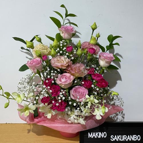 �s���N�̉������͋C�̍��؂ȃA�����W�����g