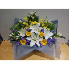 �����Ђ܂�肪�������䋟���A�����W�����g�I