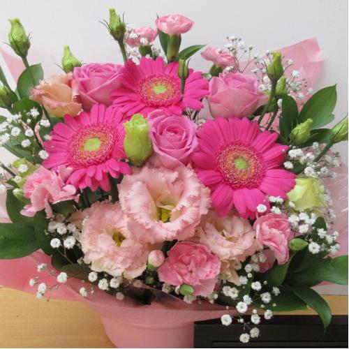 ���邢�s���N�K�[�x�������C���ɁI�L���[�g�ȃA�����W�����g4