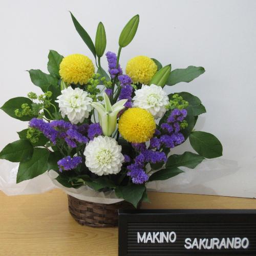 �����e�ƕS�����������������A�����W�����g