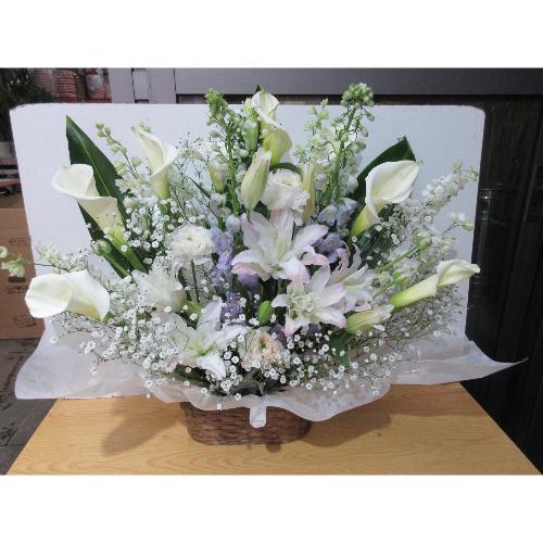 ���؁I�I�������A�����W�����g2