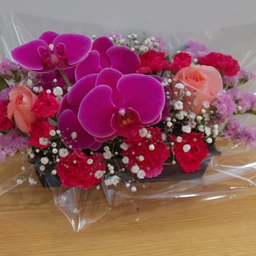 �Ӓ�������I�o���ƃJ�[�l�[�V�����ƈꏏ�ɁI�I2