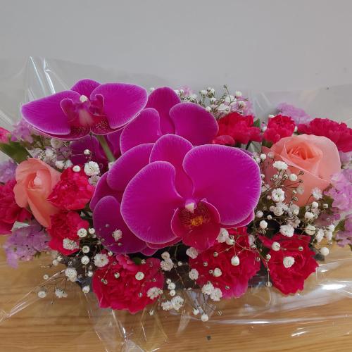 �Ӓ�������I�o���ƃJ�[�l�[�V�����ƈꏏ�ɁI�I4