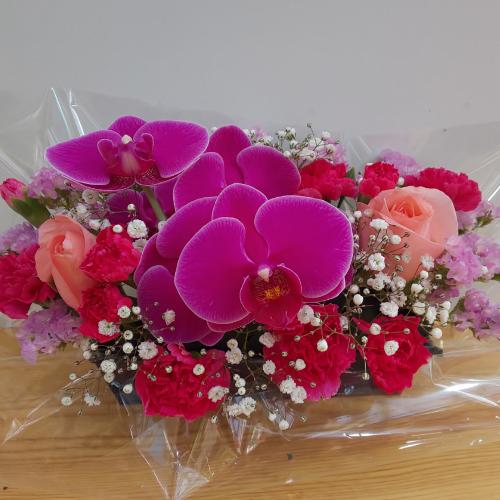 �Ӓ�������I�o���ƃJ�[�l�[�V�����ƈꏏ�ɁI�I5