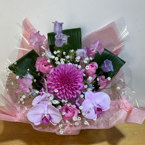 �����Ӓ����Ɖ����s���N�̍K���̃A�����W�����g