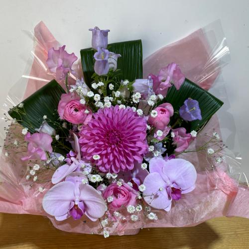 �����Ӓ����Ɖ����s���N�̍K���̃A�����W�����g2