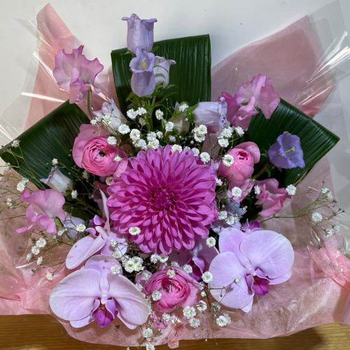 �����Ӓ����Ɖ����s���N�̍K���̃A�����W�����g3