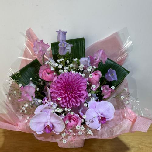 �����Ӓ����Ɖ����s���N�̍K���̃A�����W�����g4